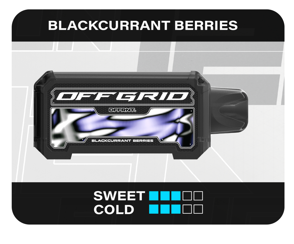 OFFGRID_UNPLUG_BLACKCURRANT_BERRIES